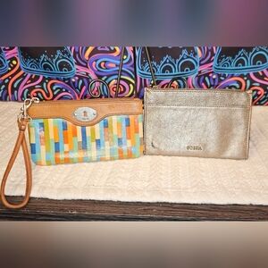 Fossil Multicolor and Gold Clutch Set